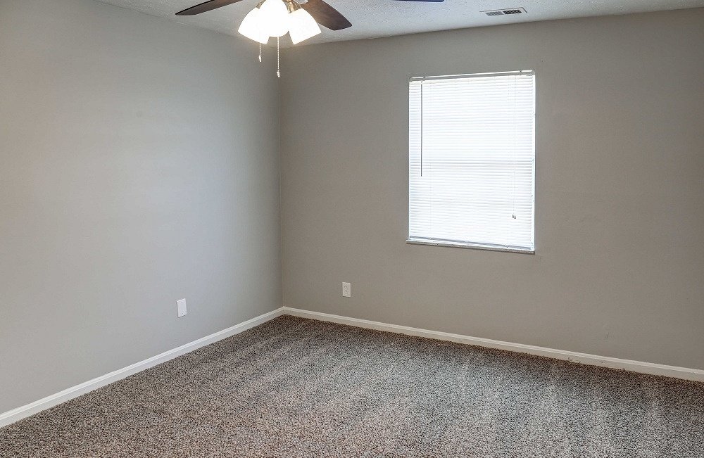 2 bedroom apartment louisville